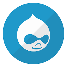 Empowering Your Online Presence: The Expertise of a Drupal Web Development Agency