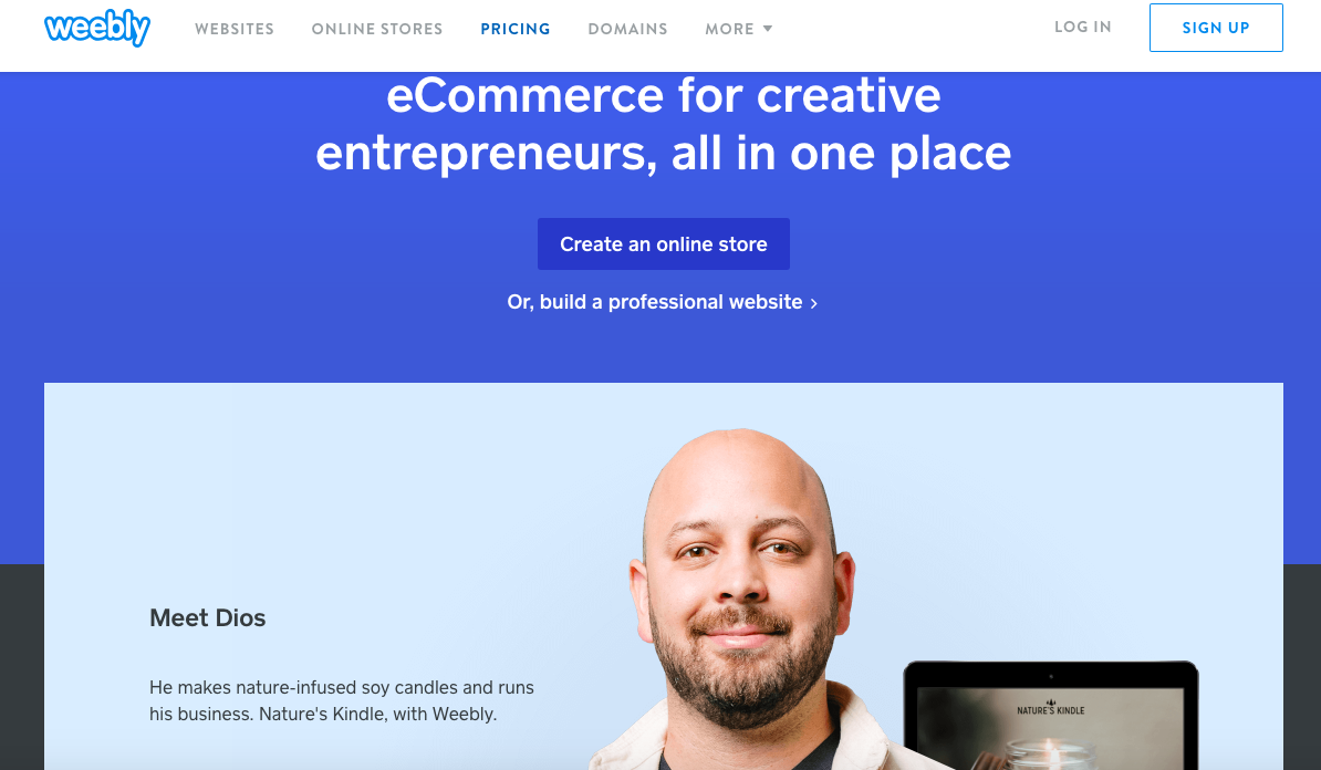 Crafting Excellence: The Journey of a Professional Website Developer