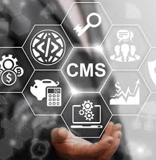 How to Choose the Right CMS Web Development Company