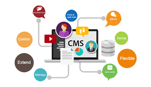 CMS Website Development Services: Build a Flexible, Easy-to-Manage Website
